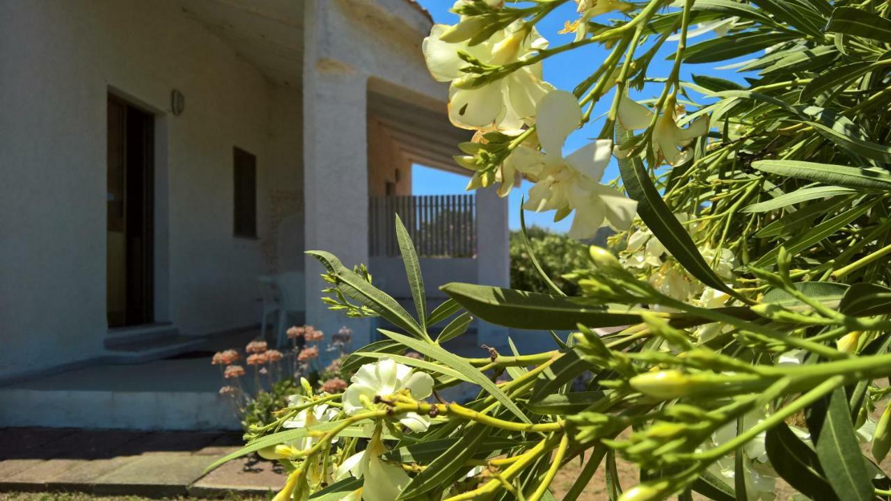 Villa Singola Valledoria  Exterior photo
